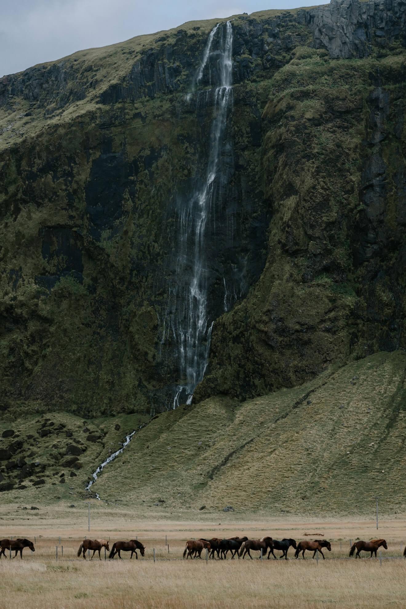 Icelandic landscapes 2